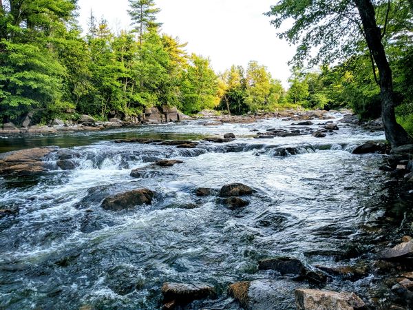 Hydrology and surface water study